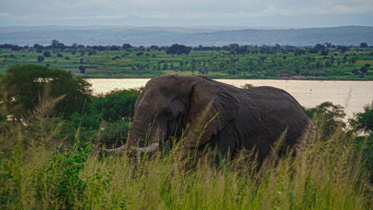 Sambiya River Lodge Karuma Exterior photo